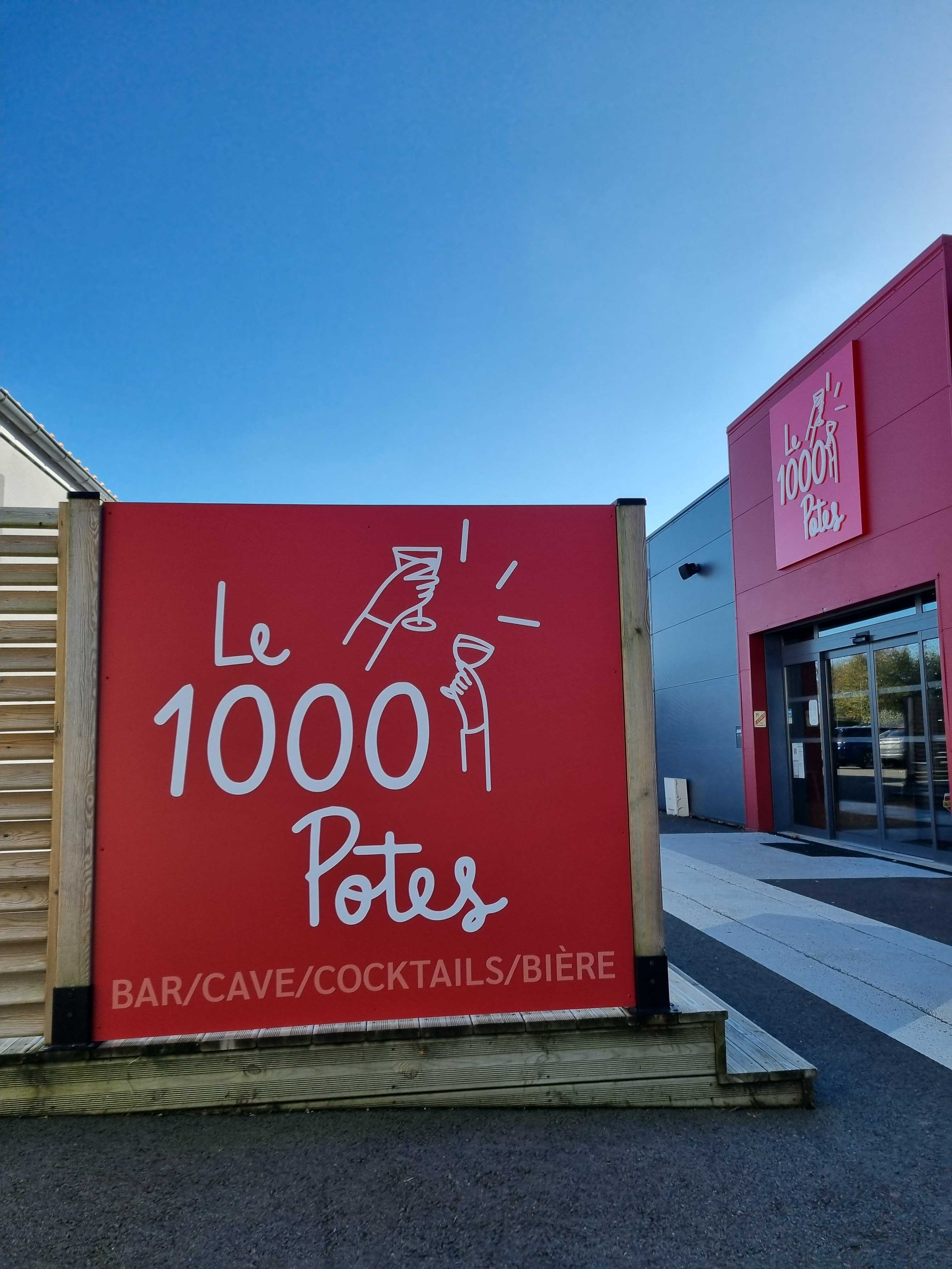1000 Potes 2